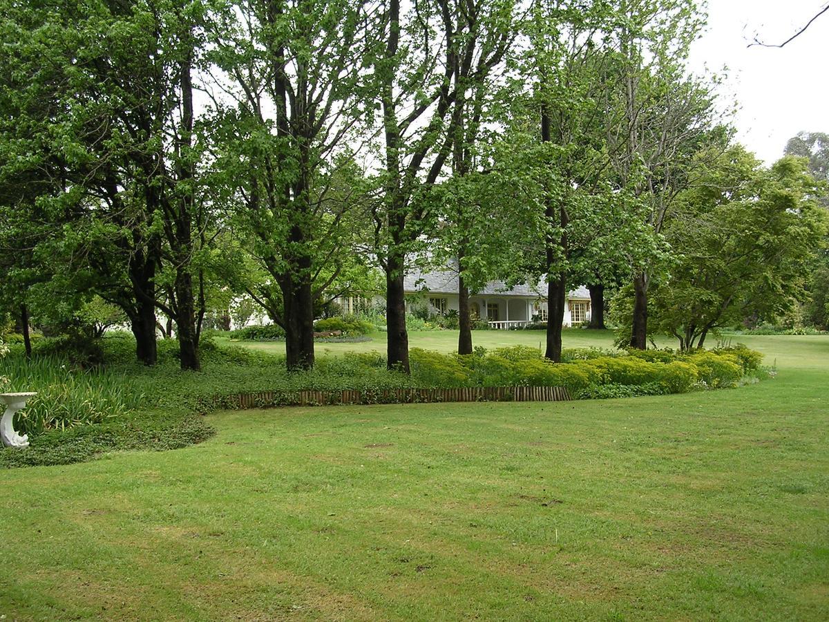 مبيت وإفطار أندربرغ Cedar Garden المظهر الخارجي الصورة
